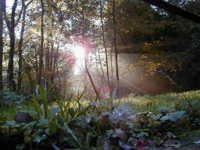 Holiday house Ferienhaus Mosel mit privater Sauna - Environment photo 26