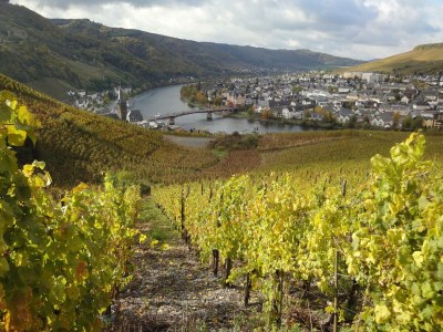 Holiday house Ferienhaus Mosel mit privater Sauna - Environment photo 28