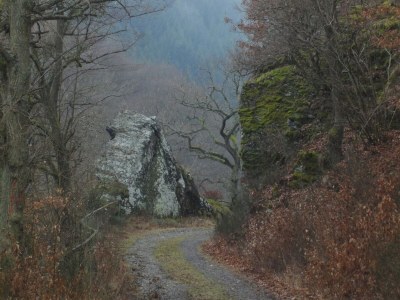 Holiday house Ferienhaus Mosel mit privater Sauna - Environment photo 30