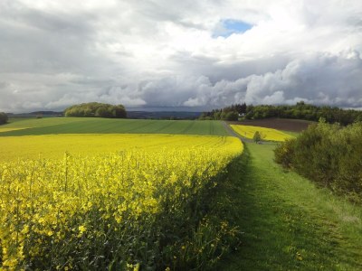 Holiday house Ferienhaus Mosel mit privater Sauna - Environment photo 34
