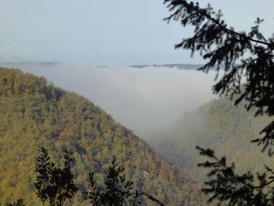 Holiday house Ferienhaus Mosel mit privater Sauna - Environment photo 35