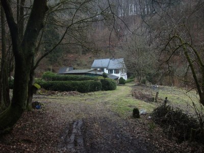 Holiday house Ferienhaus Mosel mit privater Sauna - Environment photo 36