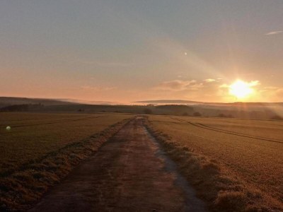 Holiday house Ferienhaus Mosel mit privater Sauna - Environment photo 39