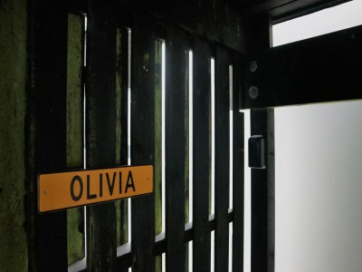 Apartment Ferienwohnung in Winterberg am Skigebiet - Outdoor photo 6