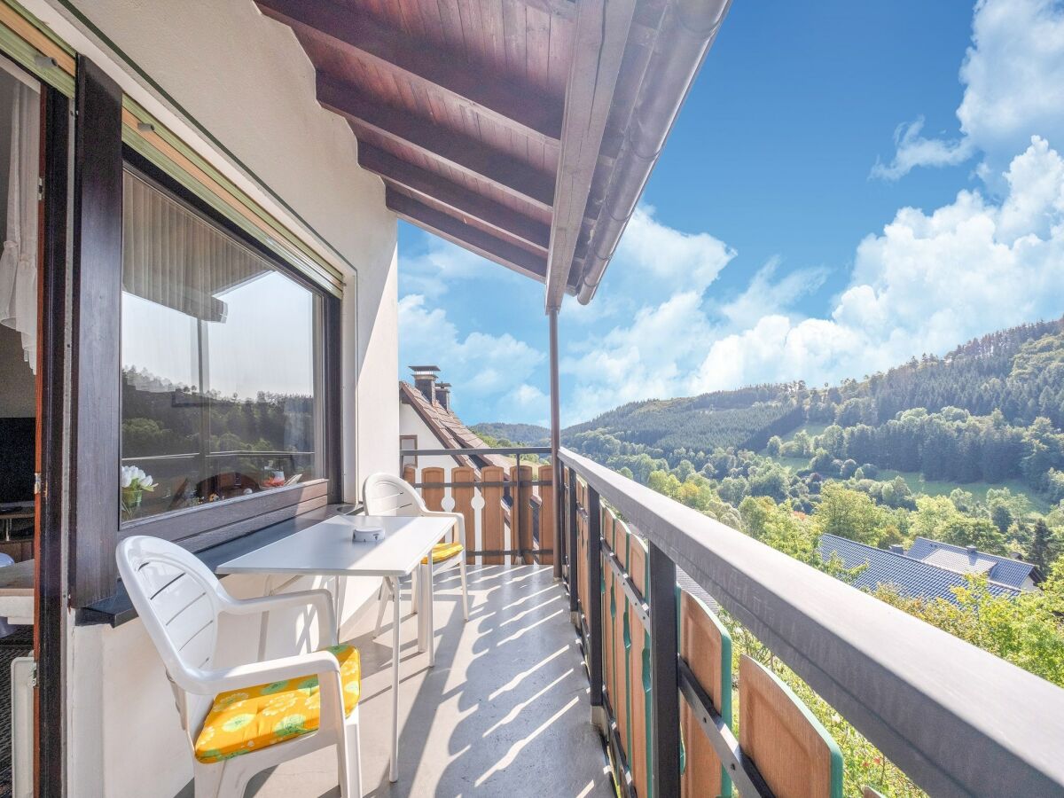 Apartment Geräumiges Apartment am Waldrand im Sauerland - Outdoor photo 3