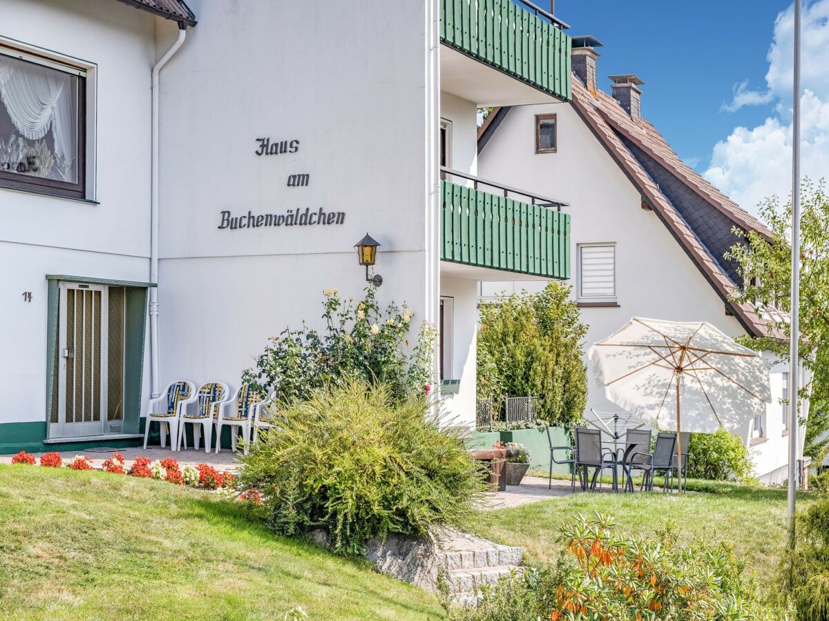 Apartment Geräumiges Apartment am Waldrand im Sauerland - Outdoor photo 5