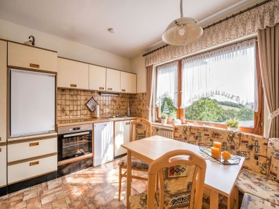 Apartment Geräumiges Apartment am Waldrand im Sauerland - Features photo 32