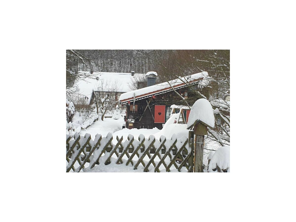 Holiday house Ferienhaus in Wieda mit Garten - Outdoor photo 5