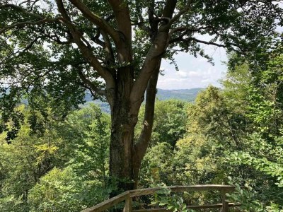 Holiday house Ferienhaus in Wieda mit Garten - Environment photo 18