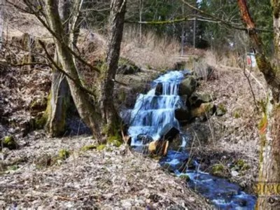 Holiday house Ferienhaus in Wieda mit Garten - Environment photo 19