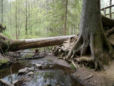 Holiday house Ferienhaus in Wieda mit Garten - Environment photo 20