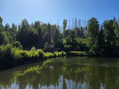 Holiday house Ferienhaus in Wieda mit Garten - Environment photo 21