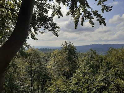 Holiday house Ferienhaus in Wieda mit Garten - Environment photo 22
