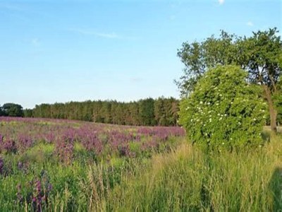 Holiday house Ferienhaus in Wieda mit Garten - Environment photo 24