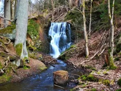 Holiday house Ferienhaus in Wieda mit Garten - Environment photo 25