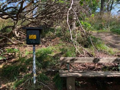 Holiday house Ferienhaus in Wieda mit Garten - Environment photo 27