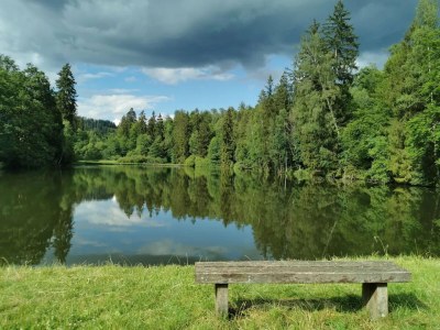 Holiday house Ferienhaus in Wieda mit Garten - Environment photo 31