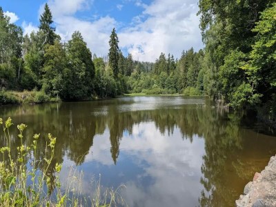 Holiday house Ferienhaus in Wieda mit Garten - Environment photo 33