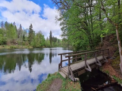 Holiday house Ferienhaus in Wieda mit Garten - Environment photo 34