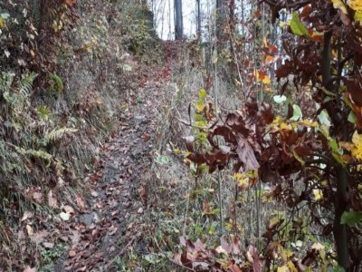 Holiday house Ferienhaus in Wieda mit Garten - Environment photo 35