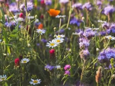 Holiday house Ferienhaus in Wieda mit Garten - Environment photo 36