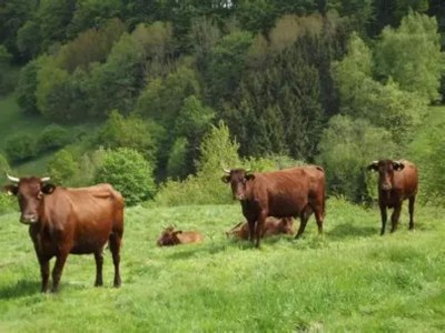 Holiday house Ferienhaus in Wieda mit Garten - Environment photo 37
