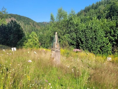 Holiday house Ferienhaus in Wieda mit Garten - Environment photo 38