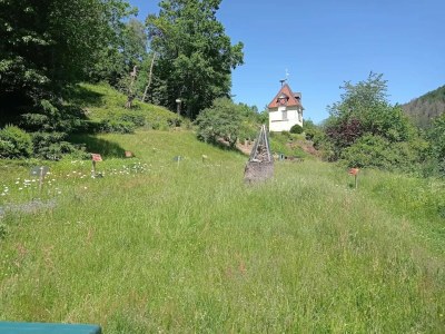 Holiday house Ferienhaus in Wieda mit Garten - Environment photo 39