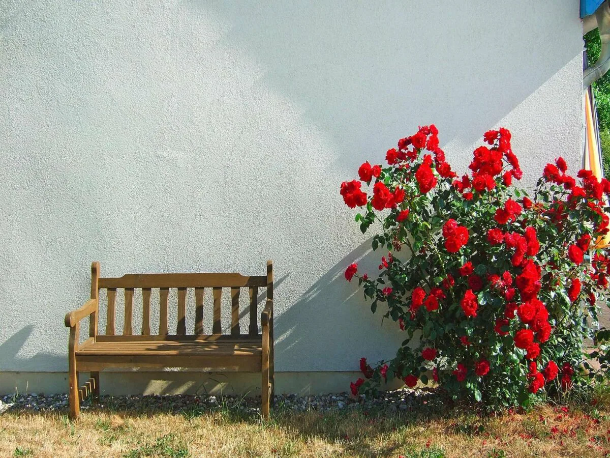 Holiday house Doppelhaushälfte am Flacher See, Klocksin - Outdoor photo 5