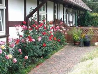 Holiday house Doppelhaushälfte am Flacher See, Klocksin - Environment photo 14