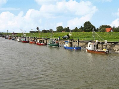 Apartment Ferienwohnung im Reihenhaus, Friedrichskoog-Spitze - Outdoor photo 29