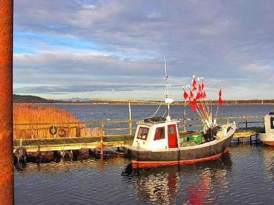 Apartment Ferienwohnung, Lohme - Environment photo 11