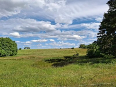 Apartment Wohnung in Lütow nahe Ostseestrand - Environment photo 15