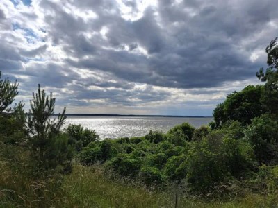 Apartment Wohnung in Lütow nahe Ostseestrand - Environment photo 16