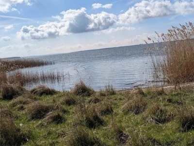 Apartment Wohnung in Lütow nahe Ostseestrand - Environment photo 17