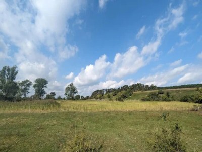 Apartment Wohnung in Lütow nahe Ostseestrand - Environment photo 28