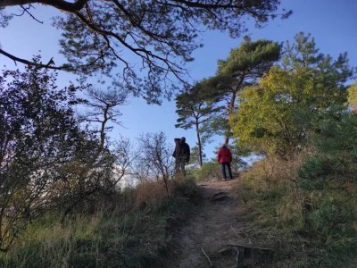 Apartment Wohnung in Lütow nahe Ostseestrand - Environment photo 33