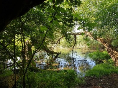 Apartment Ferienhof Neuendorfkrug, Lütow - Environment photo 18