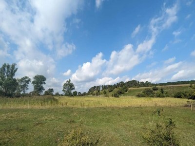 Apartment Ferienhof Neuendorfkrug, Lütow - Environment photo 24