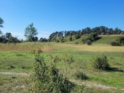 Apartment Ferienhof Neuendorfkrug, Lütow - Environment photo 25