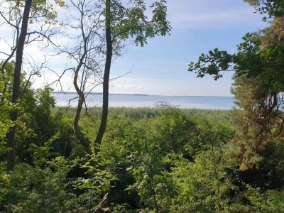 Apartment Ferienhof Neuendorfkrug, Lütow - Environment photo 26