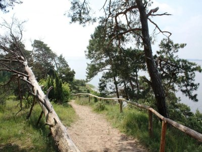 Apartment Ferienhof Neuendorfkrug, Lütow - Environment photo 29