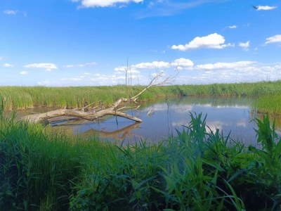 Apartment Ferienhof Neuendorfkrug, Lütow - Environment photo 31