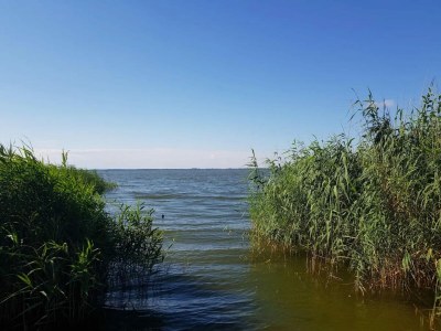 Apartment Ferienhof Neuendorfkrug, Lütow - Environment photo 32