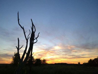 Apartment Ferienhof Neuendorfkrug, Lütow - Environment photo 14
