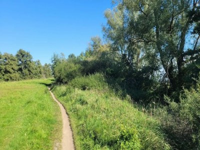 Apartment Ferienhof Neuendorfkrug, Lütow - Environment photo 24