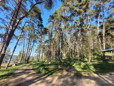 Apartment Ferienhof Neuendorfkrug, Lütow - Environment photo 30