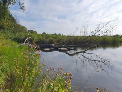 Apartment Ferienhof Neuendorfkrug, Lütow - Environment photo 34