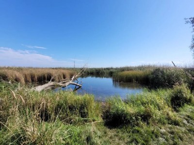 Apartment Ferienhof Neuendorfkrug, Lütow - Environment photo 36
