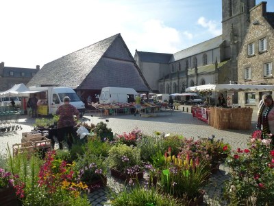 Holiday house Holiday Home by Roscoff Beach and Horse Racing - Environment photo 32